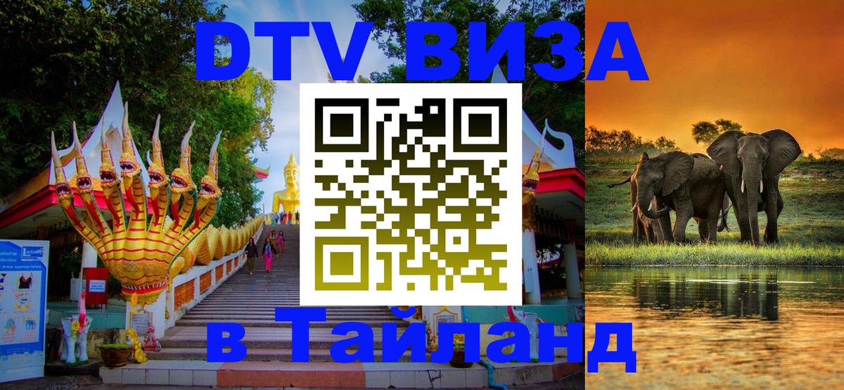 Сколько стоит DTV виза — актуальные цены, оформление даже без документов - Баку  04.10.2025 